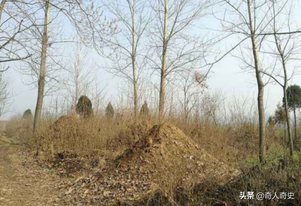 古人為何“寧可野宿荒墳，也不夜居古廟”？難道古廟比荒墳還可怕