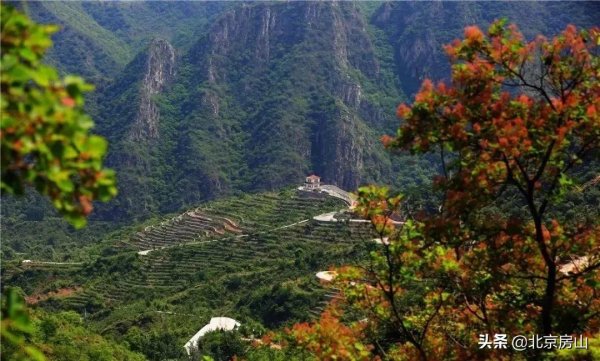 鸛鳥輕啼、悠然靜謐，快來房山“宜居之鄉”感受金秋多彩畫卷