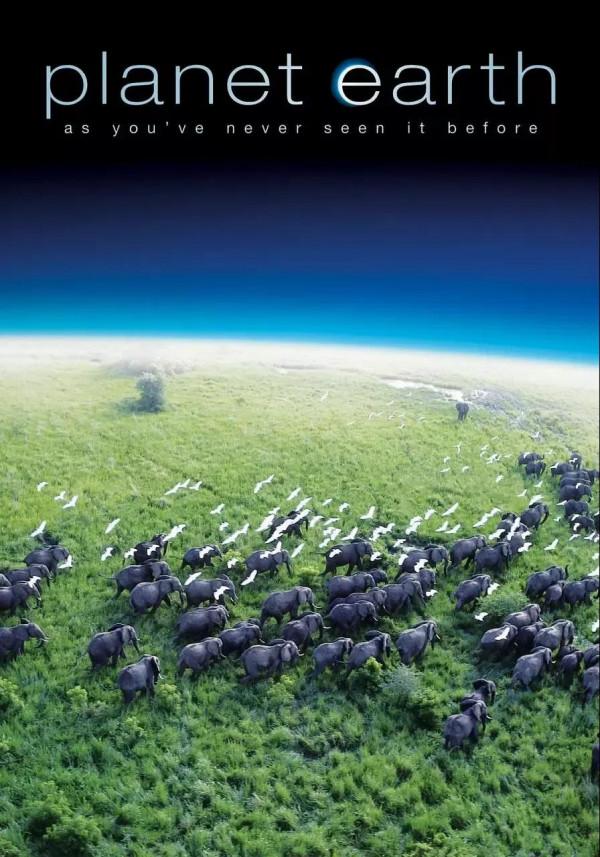 年末啦!!這幾部紀錄片一定要看 年末啦!!這幾部紀錄片一定要看