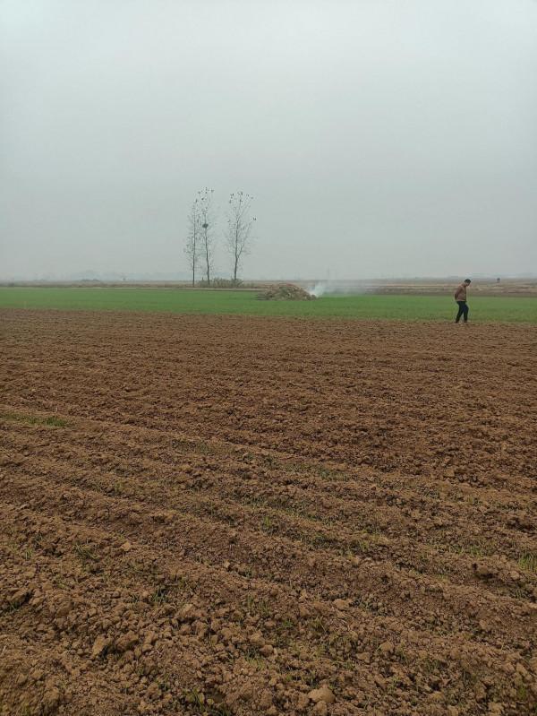 十月初一去祭祖 十月初一去祭祖