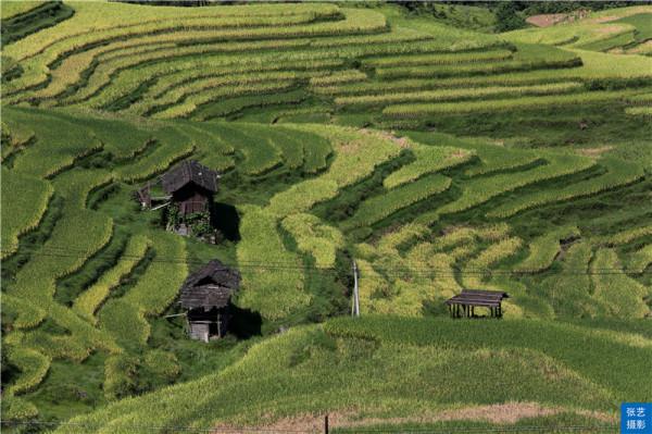 黔東南加榜梯田：《舌尖上的中國》拍攝地，每年的新米節熱鬧非凡