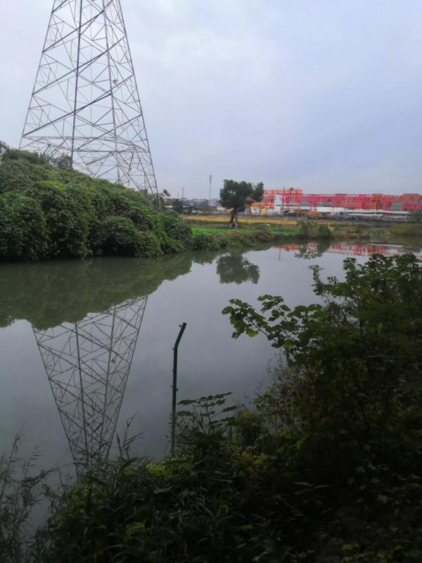 英雄河橋底探釣大板鯽