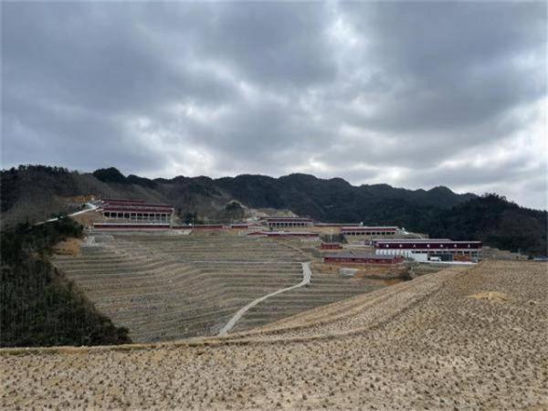 59歲男子做過縣長、報社老總，突然辭職養豬：痛哭過，但絕不後悔