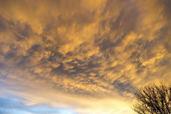 溼熱導致的多種疾病，關鍵在調理脾胃，靠健脾來治癒