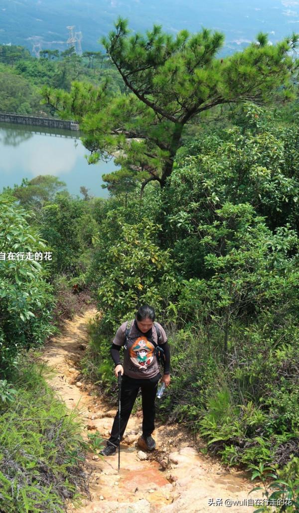 這個秋天,繼續闖蕩福州鼓山,用腳步丈量她的美 | 第63條徒步路線 這個秋天,繼續闖蕩福州鼓山,用腳步丈量她的美 | 第63條徒步路線