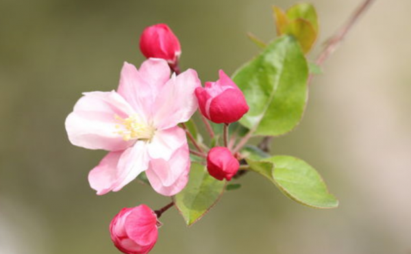 有一種高情商:不說,不評,不爭辯 有一種高情商:不說,不評,不爭辯