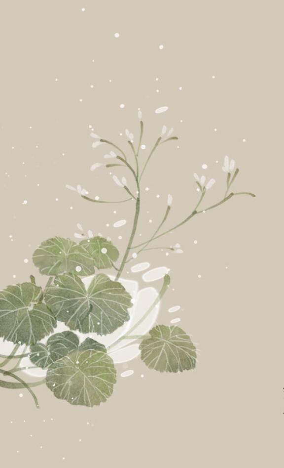 散文：人到中年，體面地活著