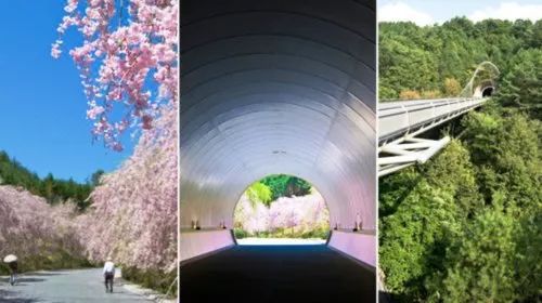 愛恨交加的世界一號古董商