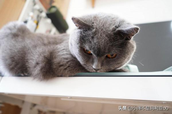 桌面整理大作戰！低成本改造書桌，這些收納好物你值得擁有