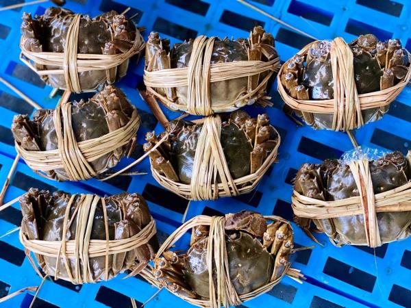 被電商圍獵的蟹江湖,夫妻捆蟹一天賺3萬,金融白領和水產批發商都入局了…… 被電商圍獵的蟹江湖,夫妻捆蟹一天賺3萬,金融白領和水產批發商都入局了……