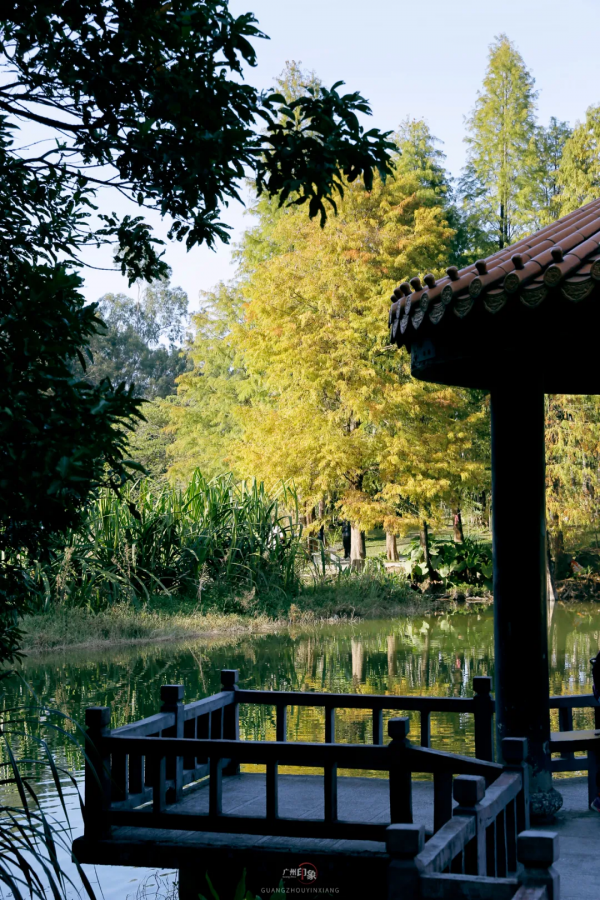 抓住秋天的影子，至少要去一次「華南植物園」