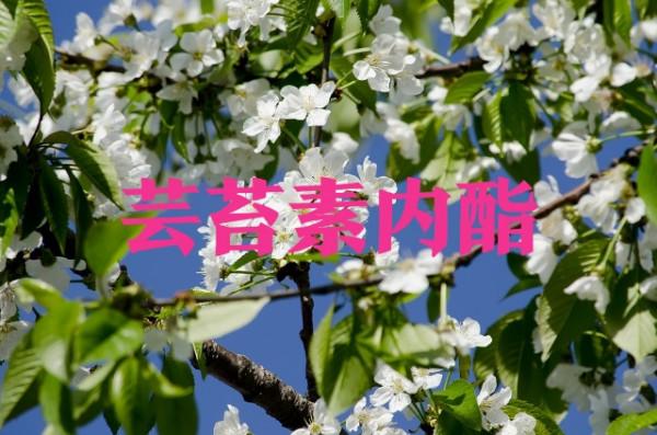 種植戶注意了,有這四類特徵的蕓薹素都是假貨,請不要購買 種植戶注意了,有這四類特徵的蕓薹素都是假貨,請不要購買