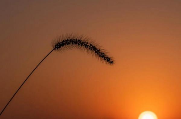 讓女生持續上癮的30個好習慣（生活篇）