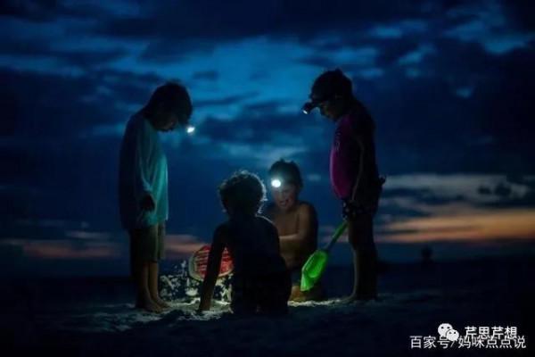 家也是個“合作社”