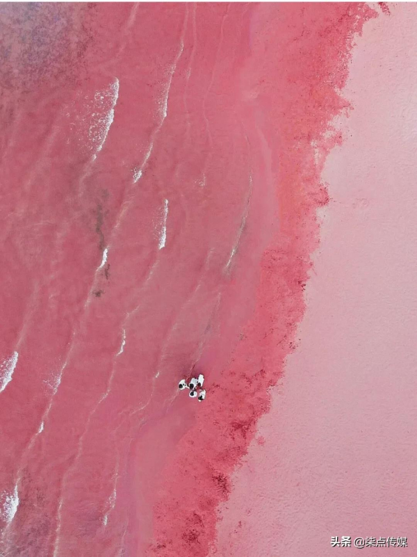 小紅書的網圖濾鏡，騙了多少人？