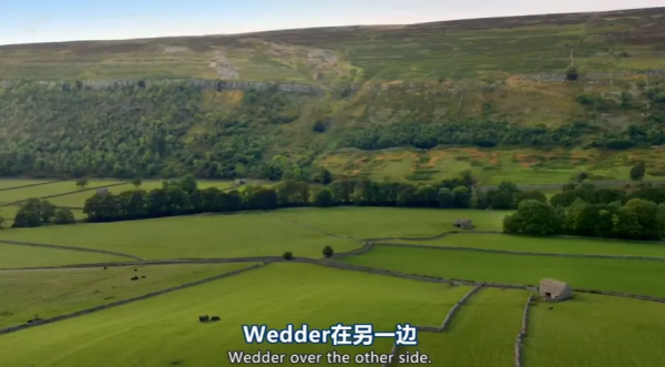 又髒又野,但真招人喜歡 又髒又野,但真招人喜歡