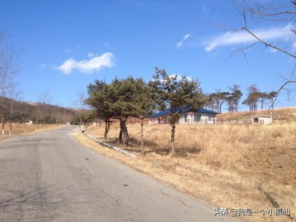 那年，公司將我從非洲安哥拉調到了朝鮮（26、我在朝鮮買海參）