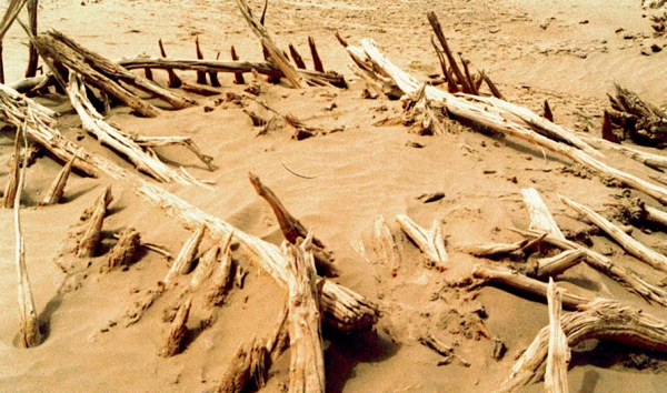 泰國“百勝戰士”班迪特悍然來襲，中國選手頂得住嗎？