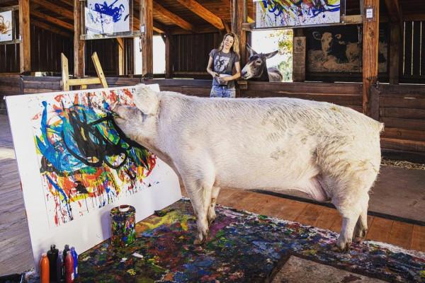 南非有一頭叫豬卡索的豬,畫了一幅畫,賣了近17萬人民幣 南非有一頭叫豬卡索的豬,畫了一幅畫,賣了近17萬人民幣