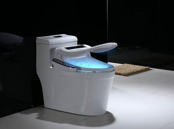 智慧馬桶究竟值不值得入手？我體驗了三個月，談談客觀的感受
