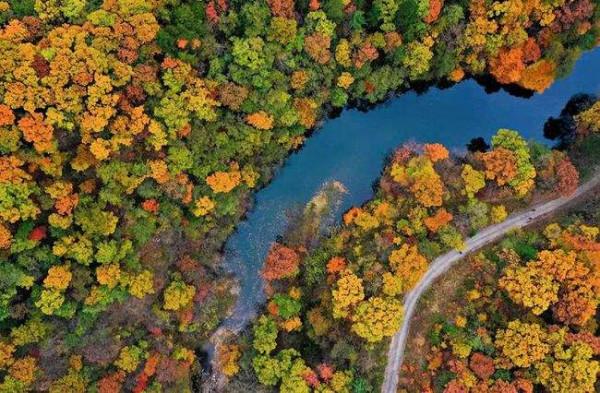 河南一景區走紅，景區內百峰競秀，怪石林立，深受遊客的喜愛