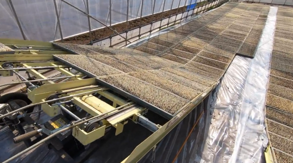 日本水稻種植新方式,實行工廠化流水線生產,農業的強大讓人佩服 日本水稻種植新方式,實行工廠化流水線生產,農業的強大讓人佩服