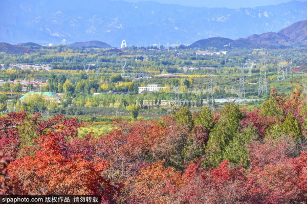 最新實拍!北京這裡紅葉美翻了!關鍵人少還免費,快來打卡 最新實拍!北京這裡紅葉美翻了!關鍵人少還免費,快來打卡
