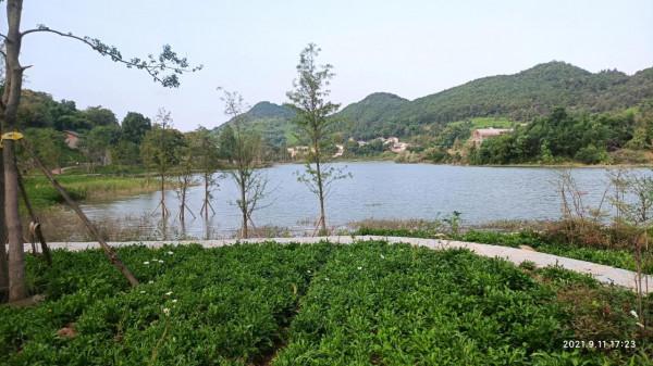 休閒時光（9）斐然湖