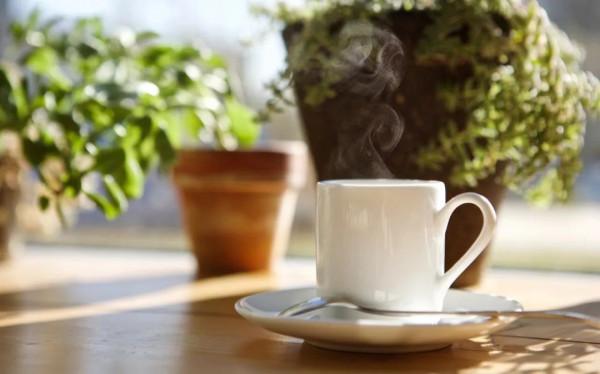 2021的最後一天：用一句詩詞總結你的2021，你會用哪一句？