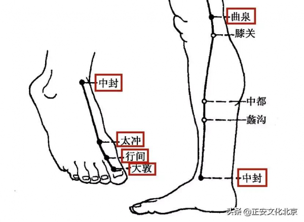 經絡 | 為什麼你總感覺疲憊？
