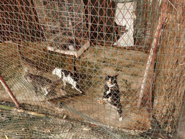 酒店遛娃之漢南綠地鉑瑞,紅火到冷清到底是什麼原因 酒店遛娃之漢南綠地鉑瑞,紅火到冷清到底是什麼原因