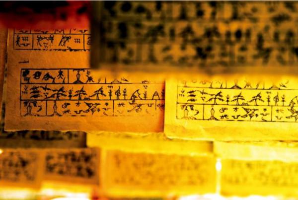 別翻書!馬上告訴我,古人都用哪些植物造紙? 別翻書!馬上告訴我,古人都用哪些植物造紙?