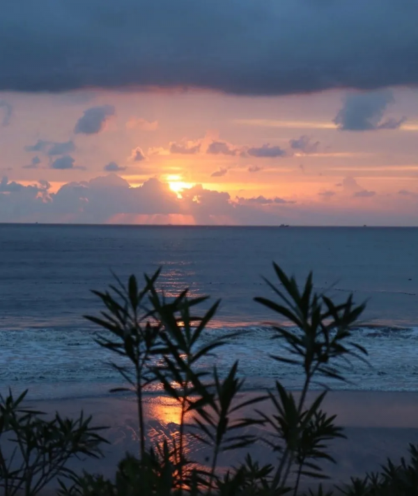 這是一篇幫你玩轉舟山的實用乾貨帖