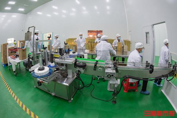 溯源油茶魅力！全國百家媒體走進神農國油體驗採摘