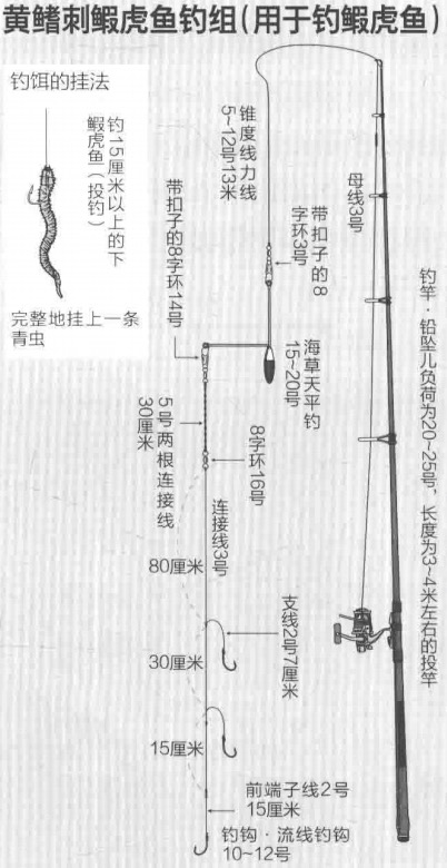 海釣新手油光魚又名黃鰭刺鰕虎魚「 日本專業海釣入門投釣書籍 」