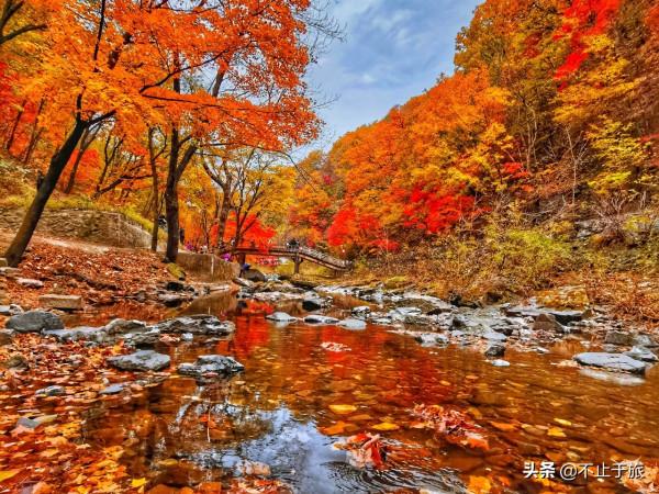 金秋旅遊旺季，東北這座小城開掛迎來中國最美早秋，讓人流連忘返