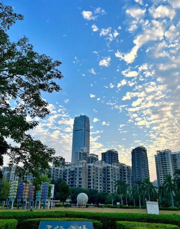 今年房子是大跌還是大漲? 今年房子是大跌還是大漲?