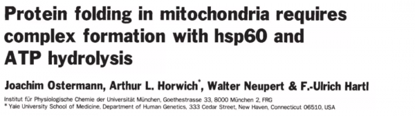 “諾獎值得”系列:蛋白質摺疊的分子伴侶誕生記 “諾獎值得”系列:蛋白質摺疊的分子伴侶誕生記
