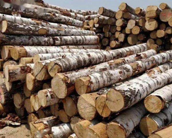 克羅埃西亞經濟部長表示將大力支援木材加工行業 克羅埃西亞經濟部長表示將大力支援木材加工行業