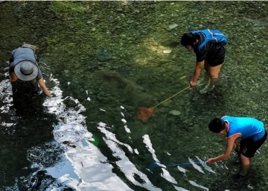 除了飛瀑、峽谷，萬盛黑山谷南天門竟藏有這樣的美景
