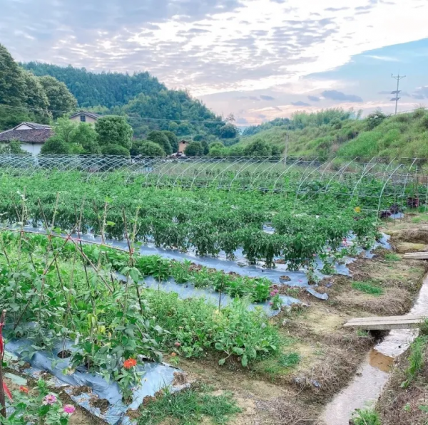 紅色旅遊還能這麼玩？這波操作我給滿分