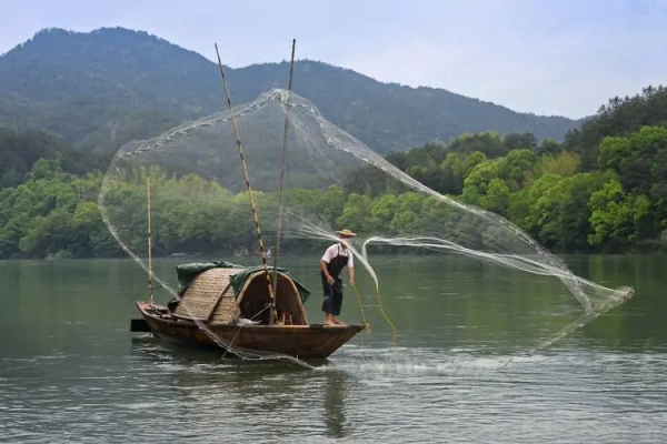 魚群氾濫！湖北5湖禁漁3年為何魚滿為患？禁漁為何還要捕魚？