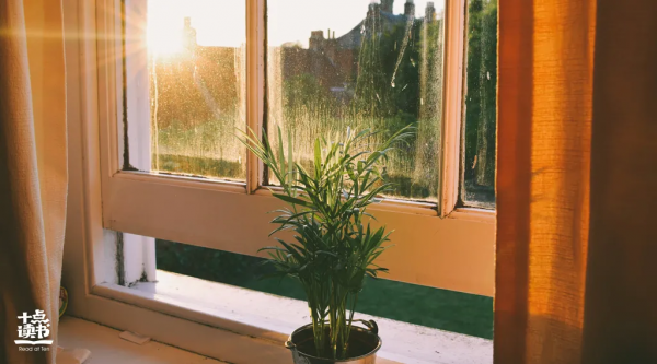 人到中年：不嫉妒、不囂張、不比較