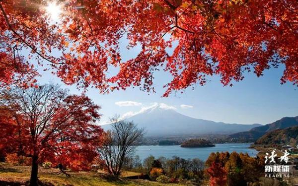 人到中年，最怕電話響起