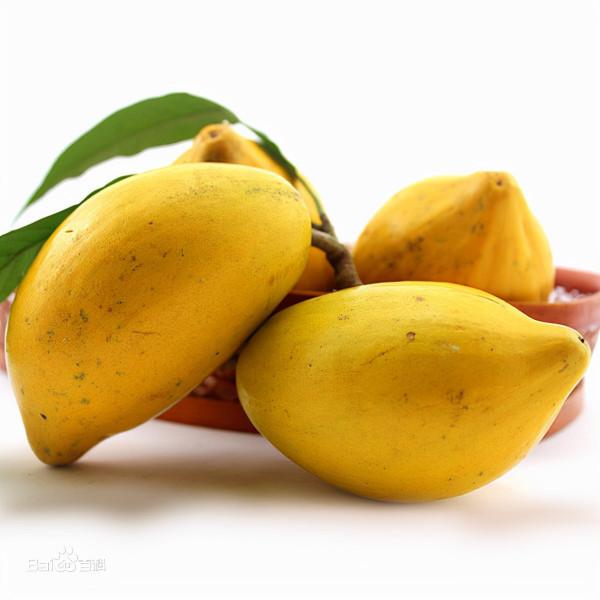 一顆煮熟的蛋黃——蛋黃果