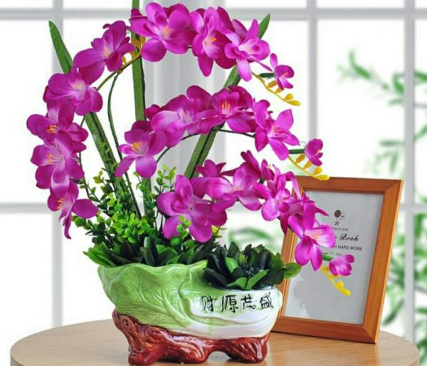 家庭養花，蝴蝶蘭才是秋冬盆栽首選，開花美，打理又省心