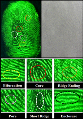 南工大學生團隊打造新型指紋成像技術,5分鐘內即可成像,40天后依然清晰可見 南工大學生團隊打造新型指紋成像技術,5分鐘內即可成像,40天后依然清晰可見