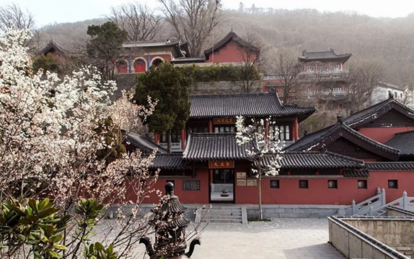 70年代女飛賊，拜老僧為師，輕功了得，24歲走上一條不歸路