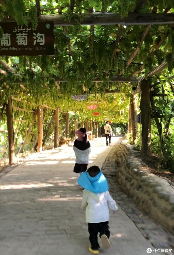 35天新疆自駕遊行程分享