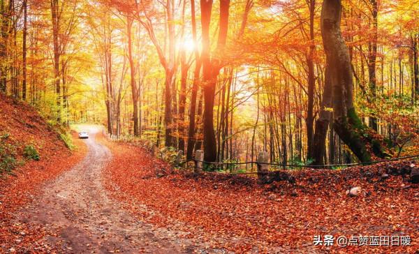 唐朝“詩聖”杜甫的《登高》譯文欣賞